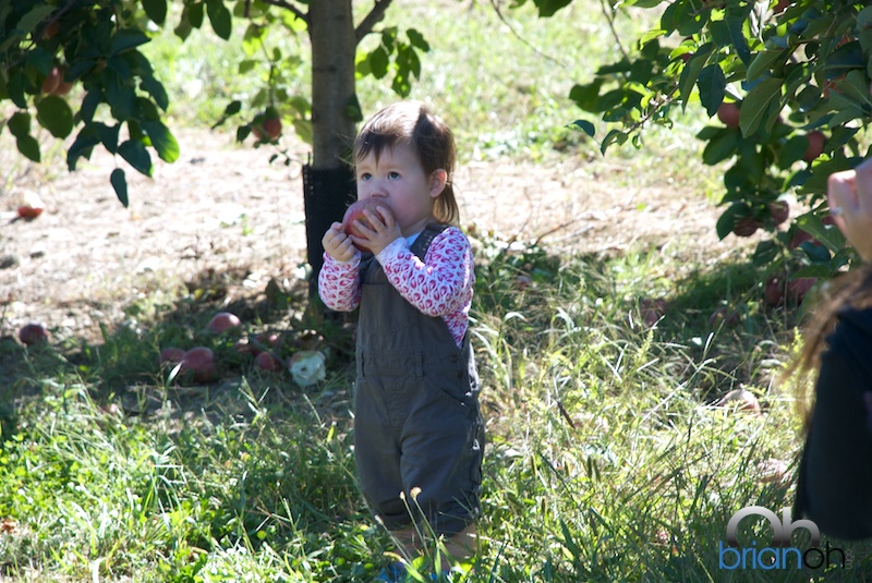 Sarah Eating an Apple at Barton Orchards